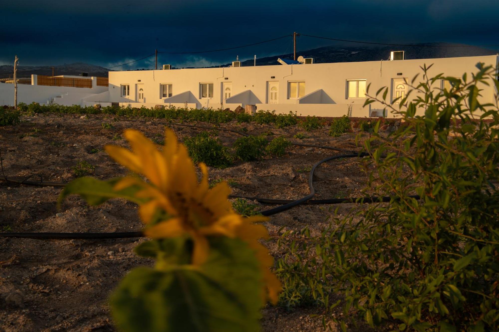 Calma Eco Houses Sunset View Emporio  Dış mekan fotoğraf