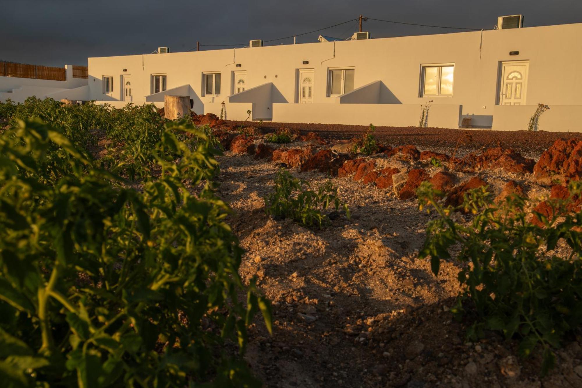Calma Eco Houses Sunset View Emporio  Dış mekan fotoğraf